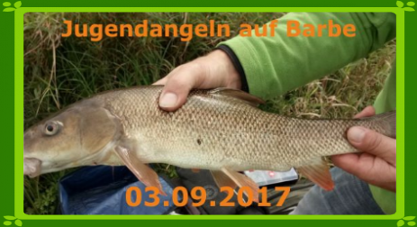 Jugend gemeinsam mit den Freitalern auf Barbe Angelverein Stadt Pirna e.V.