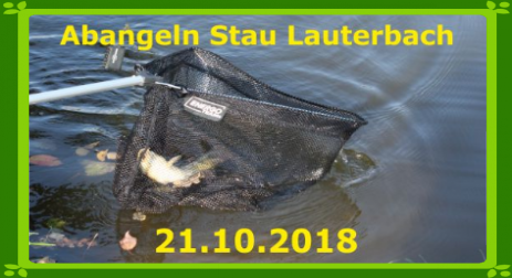 Schnupperangeln für Kinder Stau Lauterbach Angelverein Stadt Pirna e.V.