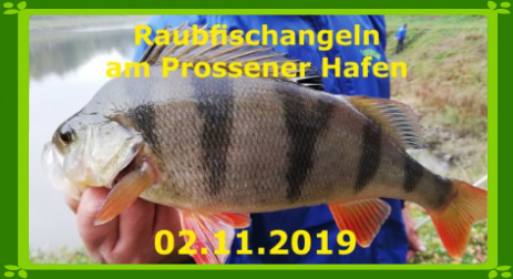 Angelverein Stadt Pirna Raubfischangeln Hecht Barsch Zander Rapfen