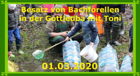 Fischbesatz in Rottwerndorf Gotteluba