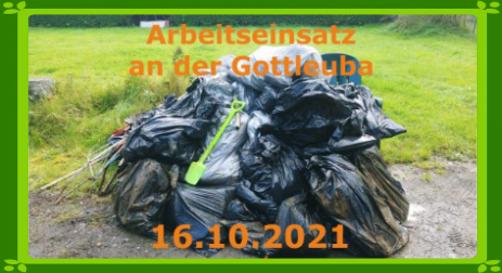 Müllsammlung in der Gottleuba Anglerverein Stadt Pirna