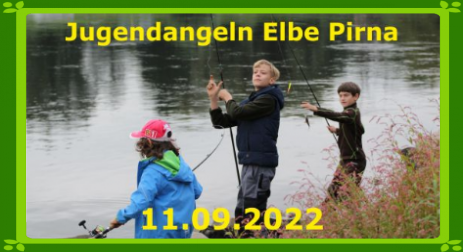 Grundelangeln an der Elbe Pirna Angelverein Stadt Pirna 