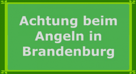 Angeln mit dem sächsischen Fischereischein im Bunde