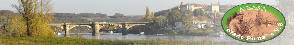 Elbbrücke Pirna Altstadt Angelverein Pirna