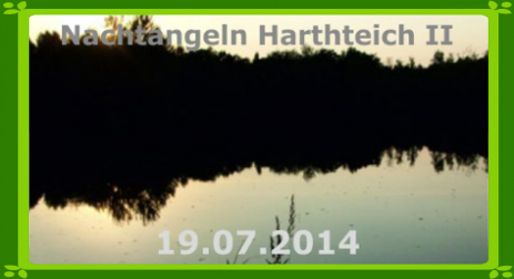 Nachtangeln am Harthteich II in Rossendorf